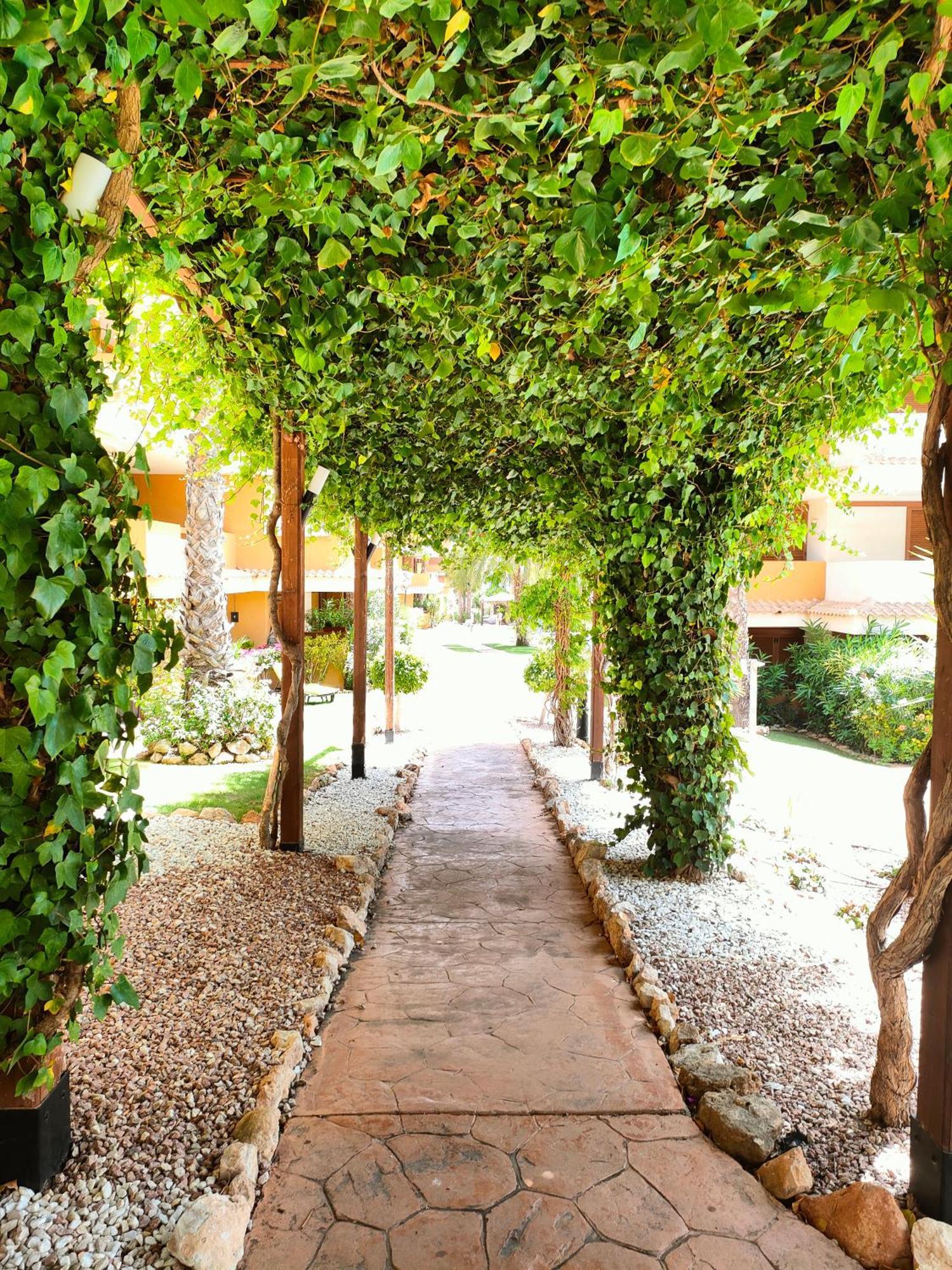 La Entrada Beach Club ตอร์เรเวียคา ภายนอก รูปภาพ